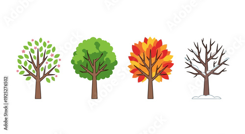 Four Seasons Tree Illustration: Spring, Summer, Autumn, Winter