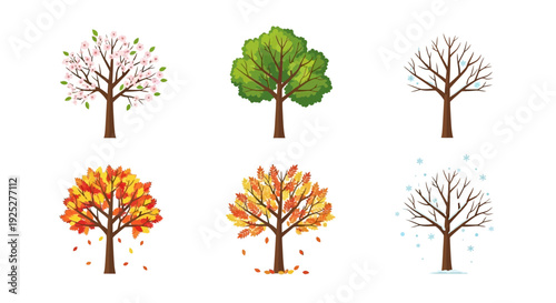 Six Trees Showing Seasons: Spring, Summer, Autumn, Winter Cycle