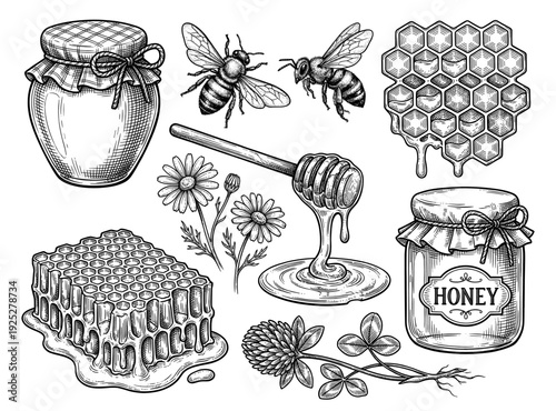 Honey bee and jar set in vintage engraving style