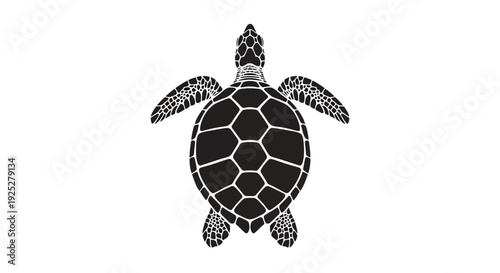 Black and White Sea Turtle Illustration.