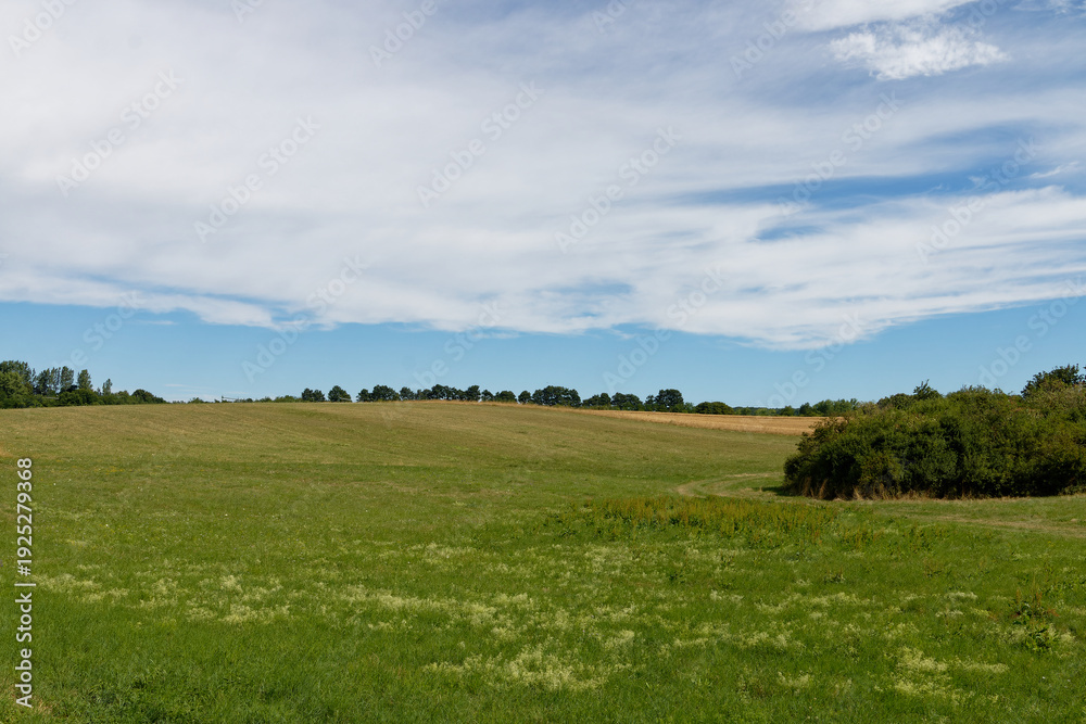 Fototapeta premium Expansive green rolling hills under a vast sky with wispy clouds on a sunny day