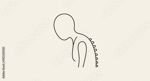 Simple Line Drawing of Human Spine Anatomy.