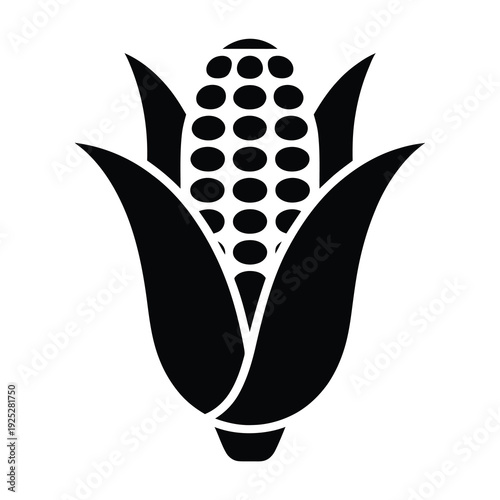 Vector of an ear of corn with its husk partially removed shown