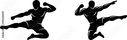 silhouettes of martial artists in dynamic action poses, conveying strength, agility, and energy, perfect for fitness, sports, or motivational content