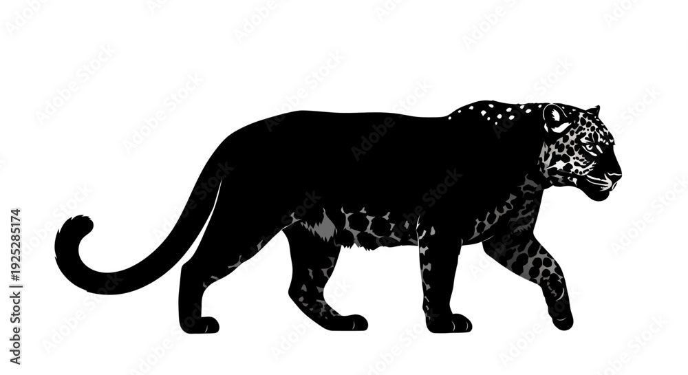 Naklejka premium Black Panther Walking Silhouette Animal Portrait.