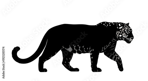 Black Panther Walking Silhouette Animal Portrait.