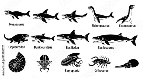 Fossilized Prehistoric Marine Animals Silhouette Collection.