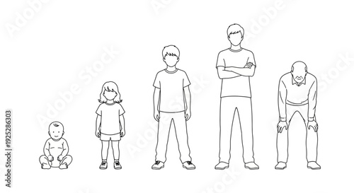 Human Life Stages from Infant to Elderly.