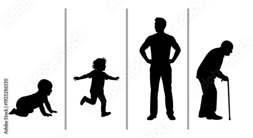 Human Life Stages Silhouette Baby Adult Old.
