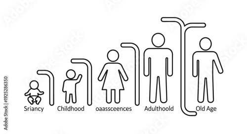 Human Life Stages Infographic Simple Illustration.
