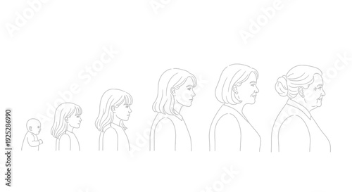Illustration of Human Head Profiles at Different Ages.