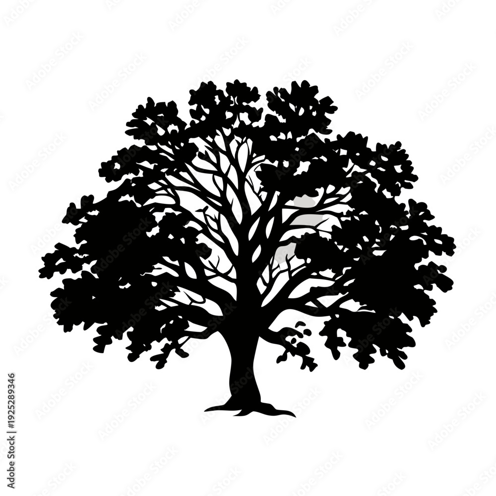 Obraz premium Majestic tree silhouette with sprawling branches and leaves