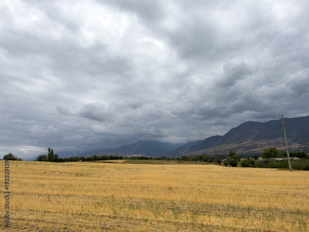 Fototapeta premium Golden field in Kyrgyzstan with mountain range on the horizon and dramatic storm clouds before rain.