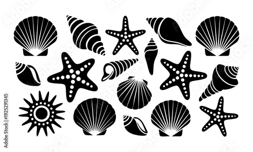 Collection of various seashells and starfish on white background in black and white illustration style