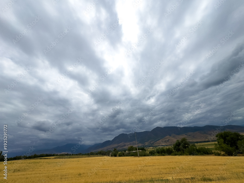 Fototapeta premium Golden field in Kyrgyzstan with mountain range on the horizon and dramatic storm clouds before rain.
