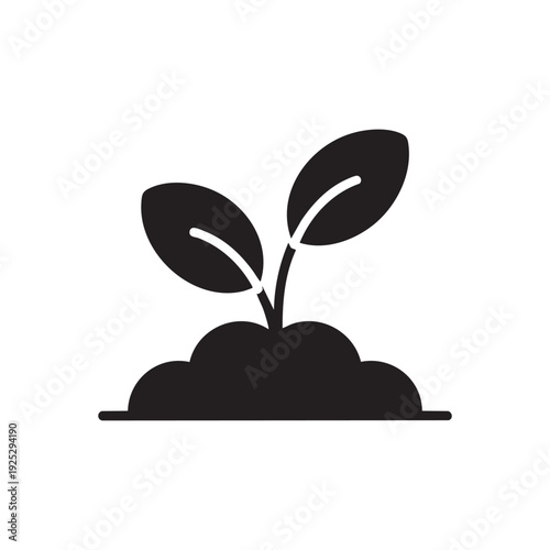 Sprouting seedling with two leaves growing out of soil from a flat surface viewpoint