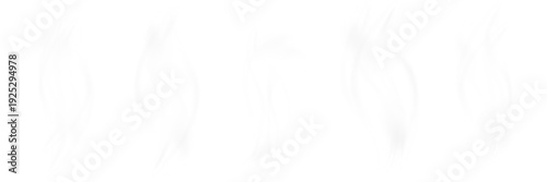 Realistic steam or smoke isolated on transparent background, hot tea or coffee vapor PNG
