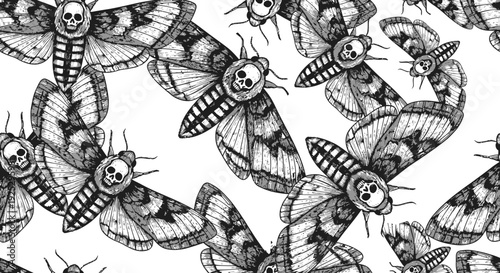 Death's-head hawk-moth illustration, seamless pattern, entomology