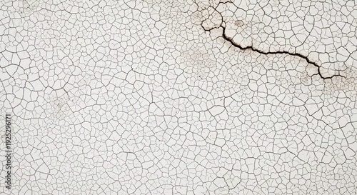 cracked white surface texture, detailed cracks, abstract background