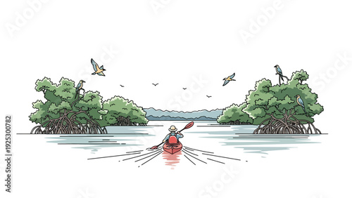 Kayaker paddling through mangrove estuary with birds