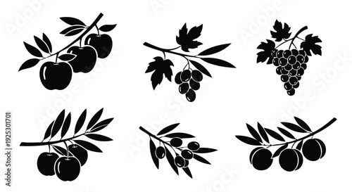 Set of 6 fruit icons vector, black silhouettes