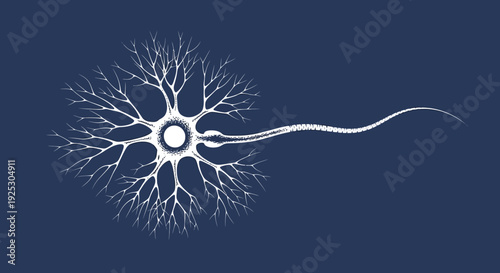 Neuron illustration with dendrites and axon on dark background, vector graphics, close-up view, scientific diagram, biological science concept Whisk