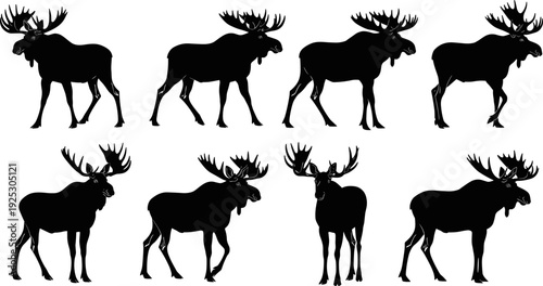 Moose silhouette set, wild animal collection, elk vector, wildlife illustration, forest mammal, black silhouette design collection pack