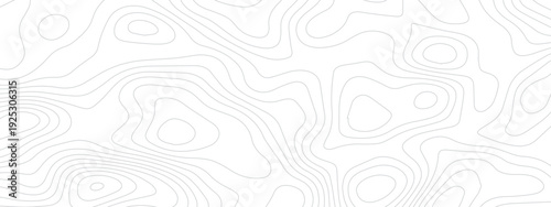 Abstract topography background. Topographic contour map subtle. Wavy paper curved reliefs White background. Geographic mountain relief curve lines background. Vector illustration.