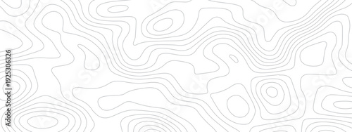 Abstract topography background. Topographic contour map subtle. Wavy paper curved reliefs White background. Geographic mountain relief curve lines background. Vector illustration.