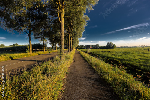 tree lined rural path and green fields in holland countryside