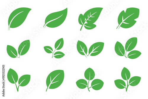 Leaf Sprout Icon Vector Set, Green Leaf Plant Symbol, Eco Friendly Logo, Simple Graphic Illustration, Vegan Herb Sign, Organic Natural Health Vector.