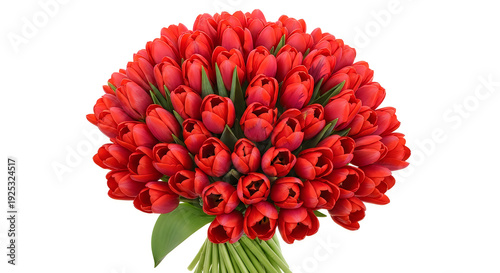 Wallpaper Mural A vibrant bouquet of red tulips arranged beautifully with green stems. Torontodigital.ca