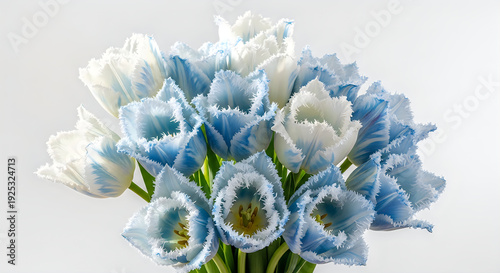 Wallpaper Mural Elegant bouquet of light blue and white tulips in full bloom Torontodigital.ca