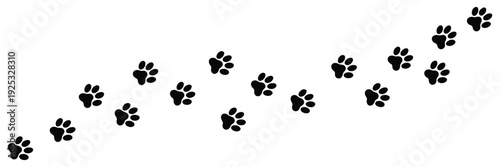 Paw Print of Dog, Cat Paw Print, Cat Walk Footprint, Dog Paw Vector Icon, Pet Foot Symbol, Animal Tracks Illustration.