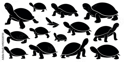 Turtle Silhouette Set - Professional Black and White Vector Graphics of Various Turtle and Tortoise Species for Nature and Wildlife Design