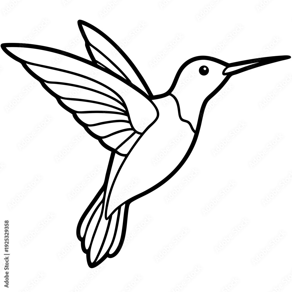 Obraz premium Hummingbird line art vector