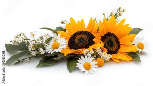 Arrangement of sunflowers and daisies on a white background.
