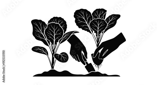 A black and white illustration depicts hands planting leafy greens from seedlings in garden soil silhouette high quality professional detailed