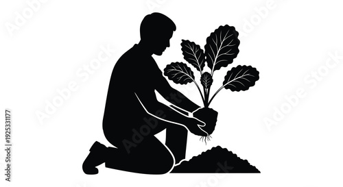 A kneeling figure carefully plants a leafy beet seedling into the earth a symbolic representation of growth silhouette