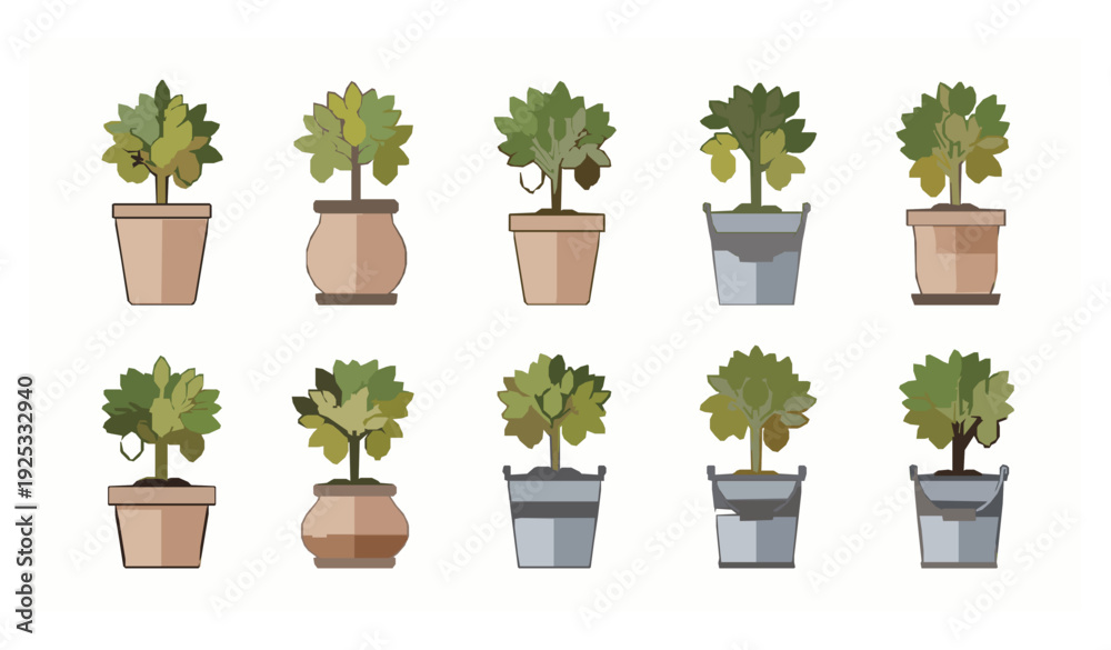 Fototapeta premium Lemon Tree in Pot and Bucket Vector Set Isolated on White