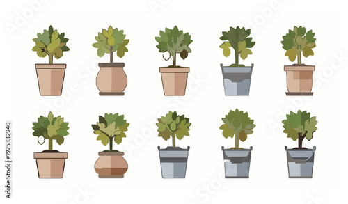 Lemon Tree in Pot and Bucket Vector Set Isolated on White