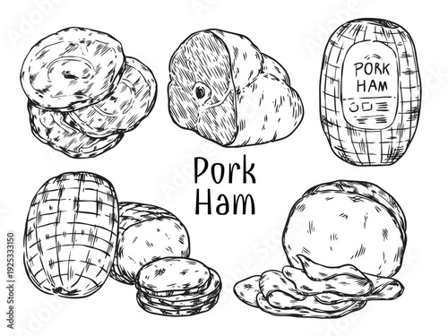 Set of hand drawn pork ham food illustration	