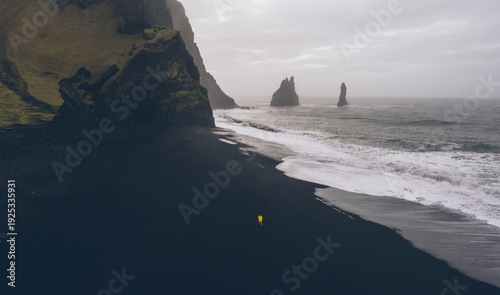 Black sand beach, and basaltic rocks in the ocean in Iceland