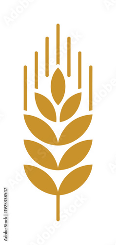 Golden vector of a wheat stalk with symmetrical leaves and grains