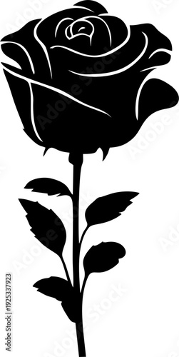 black graphic drawing of a rose flower on a white background, isolated element, decor