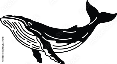 Black and white of a whale animal sea creature 1 ocean