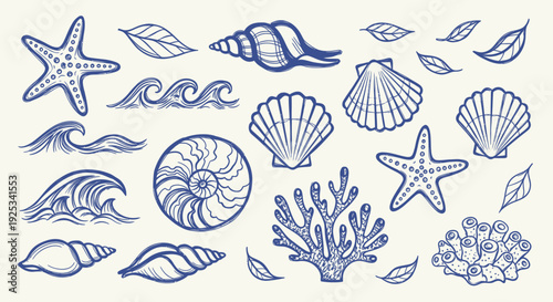 Hand-drawn collection of various seashells, starfish, coral, and ocean waves.