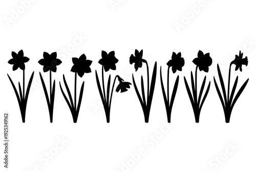 Row of black daffodil flower silhouettes with stems and leaves