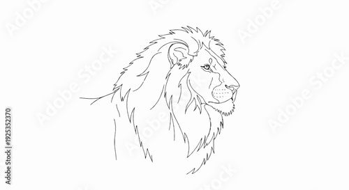 Outline drawing of a majestic lion's head and mane