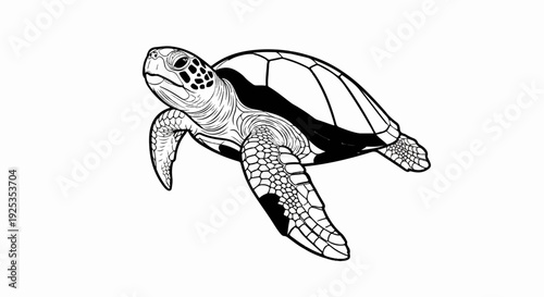 Detailed black and white illustration of a sea turtle swimming forward